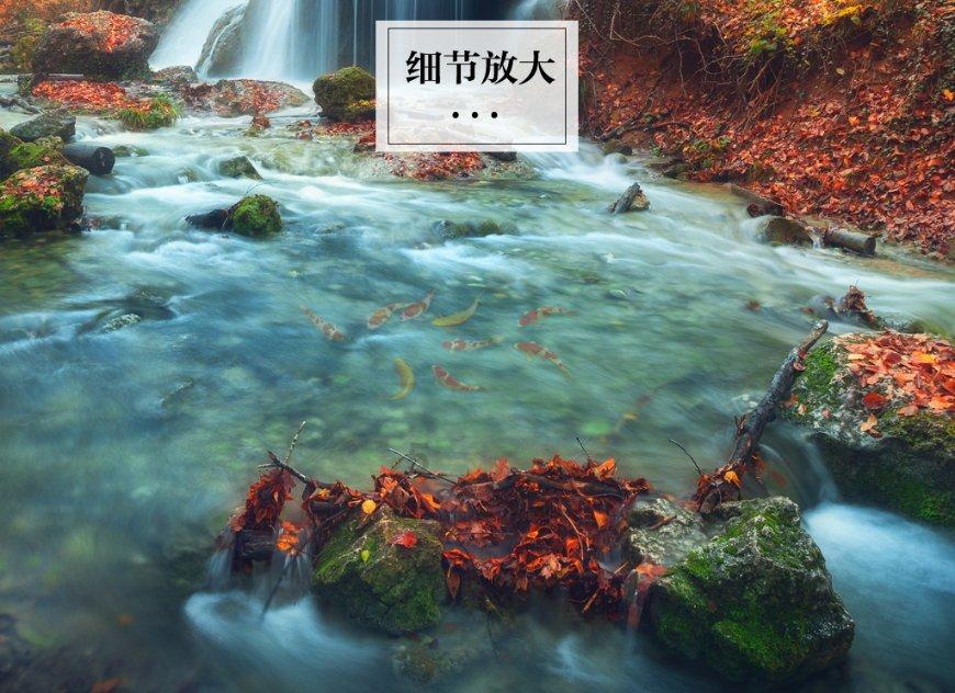你觉得为什么要重视性教育?-专业问答网站